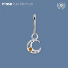 PT950CHARM74CD